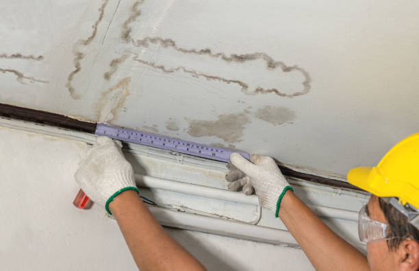 Affordable Burst Pipe Water Damage solutions in Houghton Lake Heights, MI